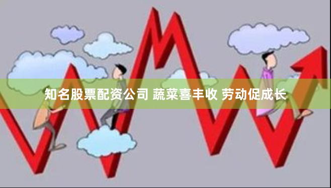 知名股票配资公司 蔬菜喜丰收 劳动促成长