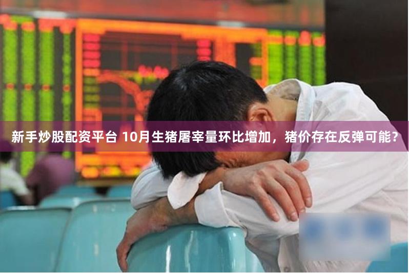 新手炒股配资平台 10月生猪屠宰量环比增加，猪价存在反弹可能？