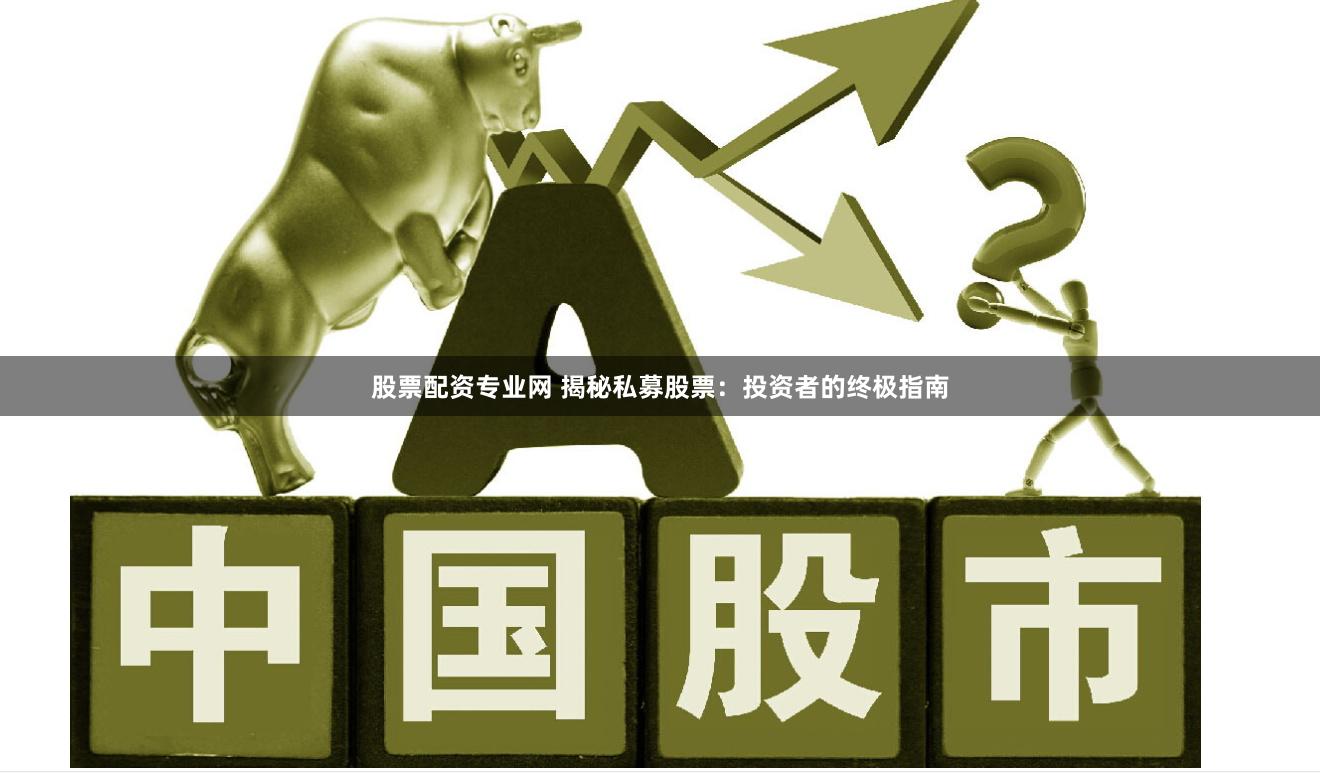 股票配资专业网 揭秘私募股票：投资者的终极指南