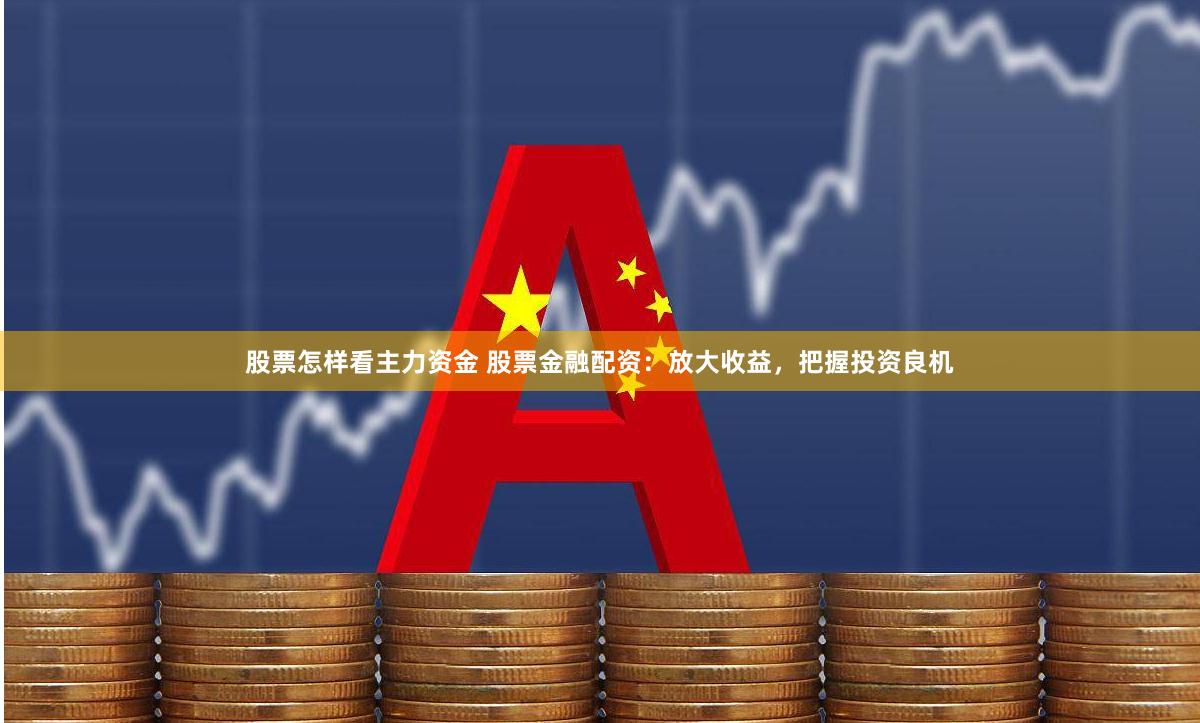 股票怎样看主力资金 股票金融配资：放大收益，把握投资良机