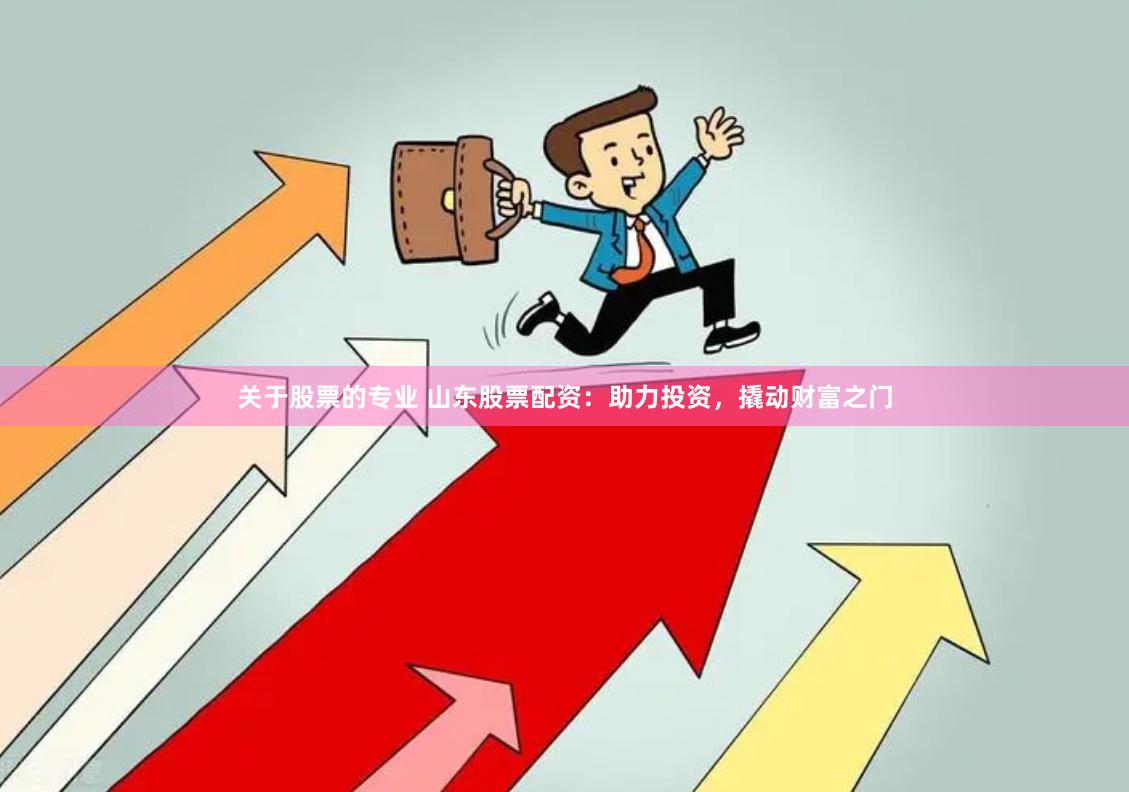 关于股票的专业 山东股票配资：助力投资，撬动财富之门