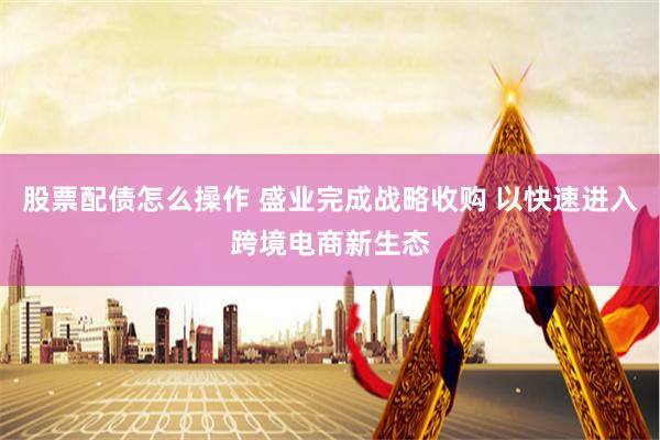 股票配债怎么操作 盛业完成战略收购 以快速进入跨境电商新生态