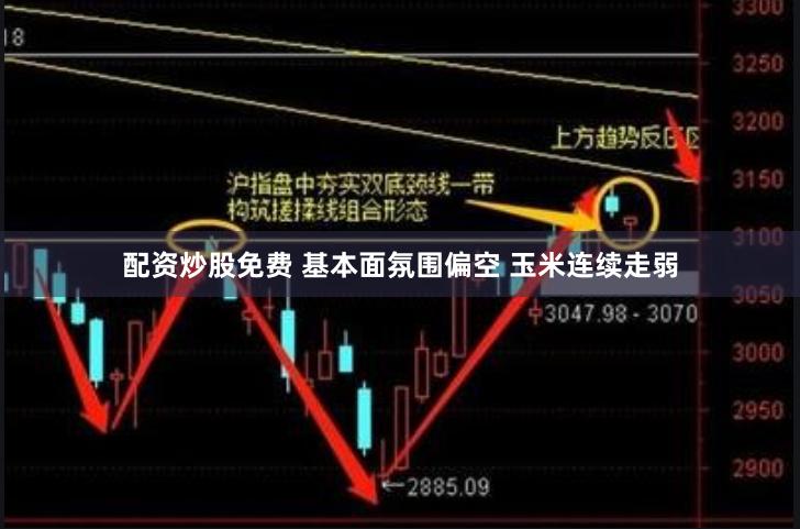 配资炒股免费 基本面氛围偏空 玉米连续走弱