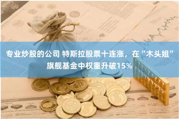 专业炒股的公司 特斯拉股票十连涨，在“木头姐”旗舰基金中权重升破15%
