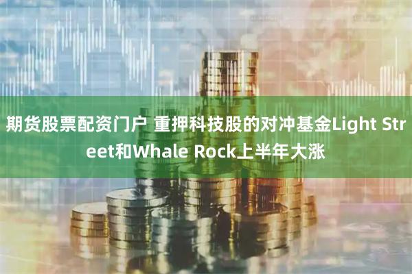 期货股票配资门户 重押科技股的对冲基金Light Street和Whale Rock上半年大涨