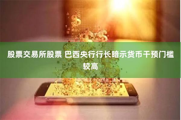 股票交易所股票 巴西央行行长暗示货币干预门槛较高
