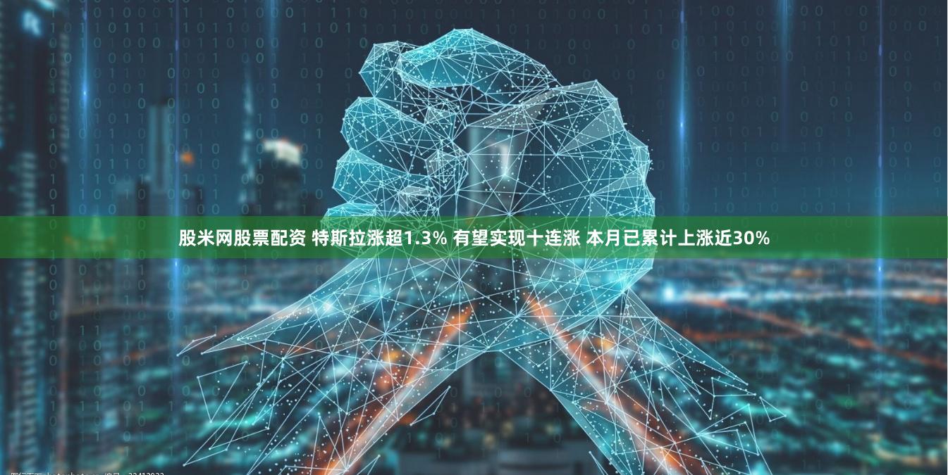 股米网股票配资 特斯拉涨超1.3% 有望实现十连涨 本月已累计上涨近30%